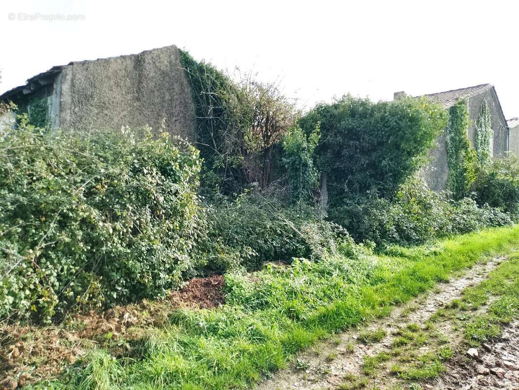 Photo 3 - Maison à BERSON