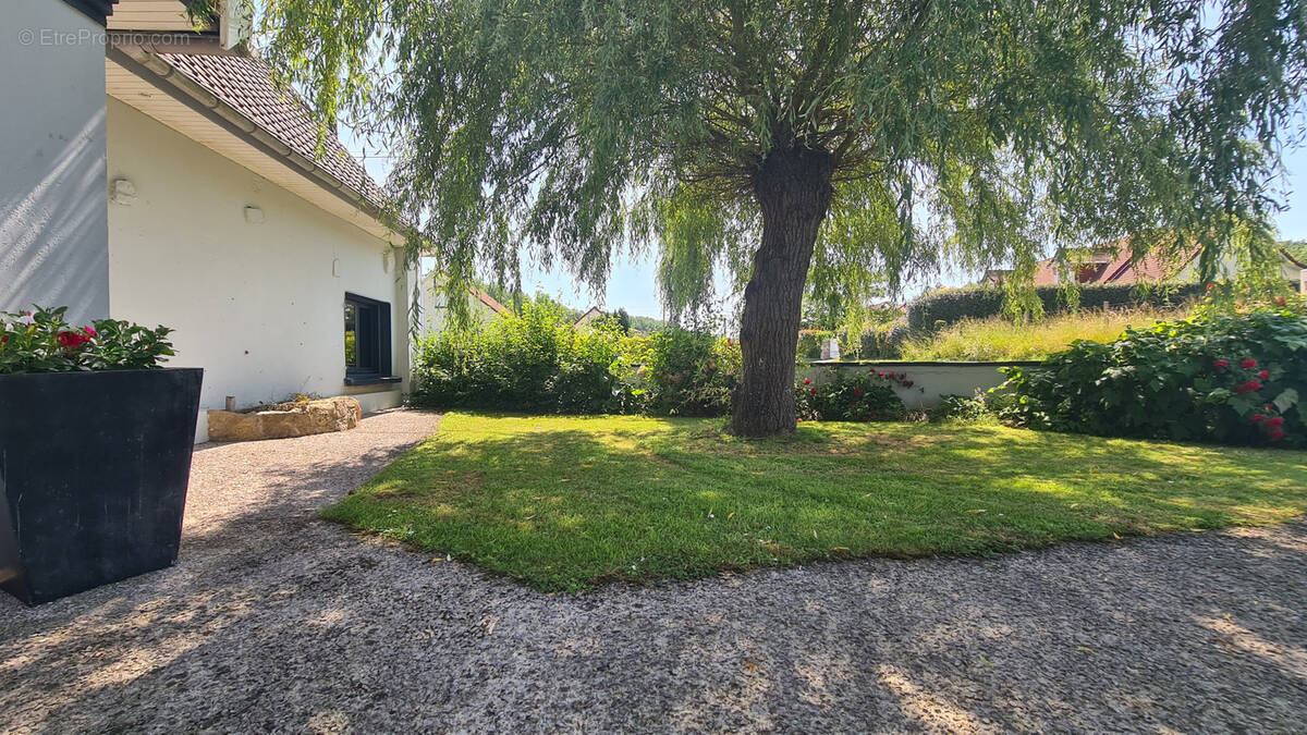 Maison à ESTREELLES