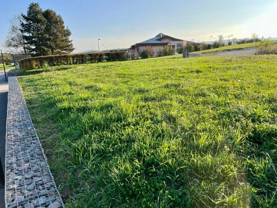 Terrain à ELOISE