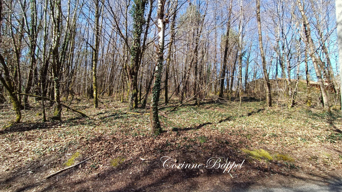 Terrain à SARLIAC-SUR-L&#039;ISLE