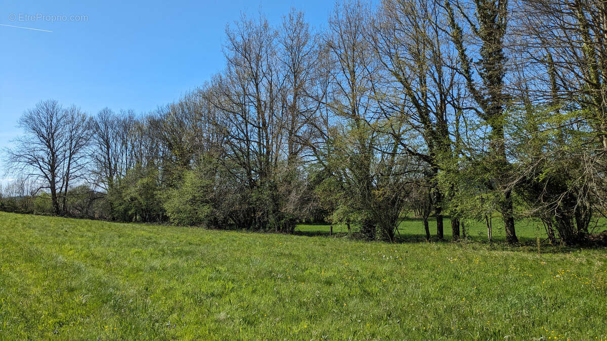 Terrain à BEYNAT