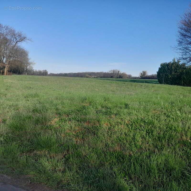 Terrain à SAINT-SORNIN
