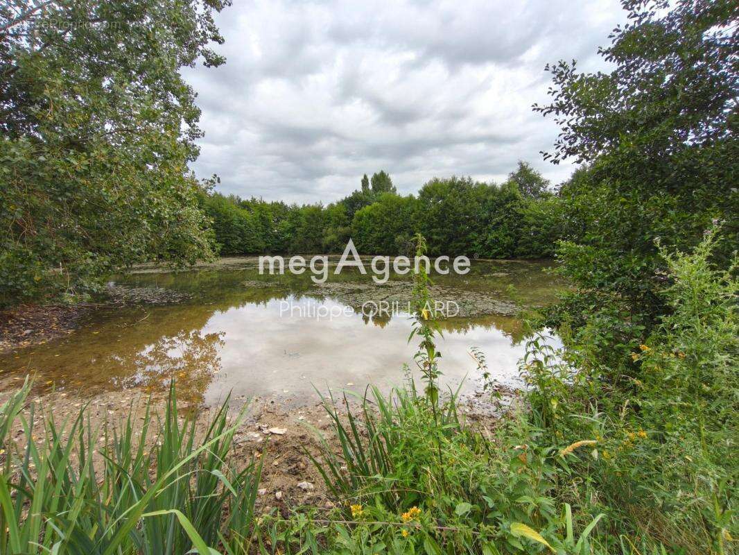 Longére campagne de Soudan - photo 11