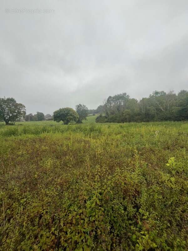 Terrain à SAINT-ONDRAS
