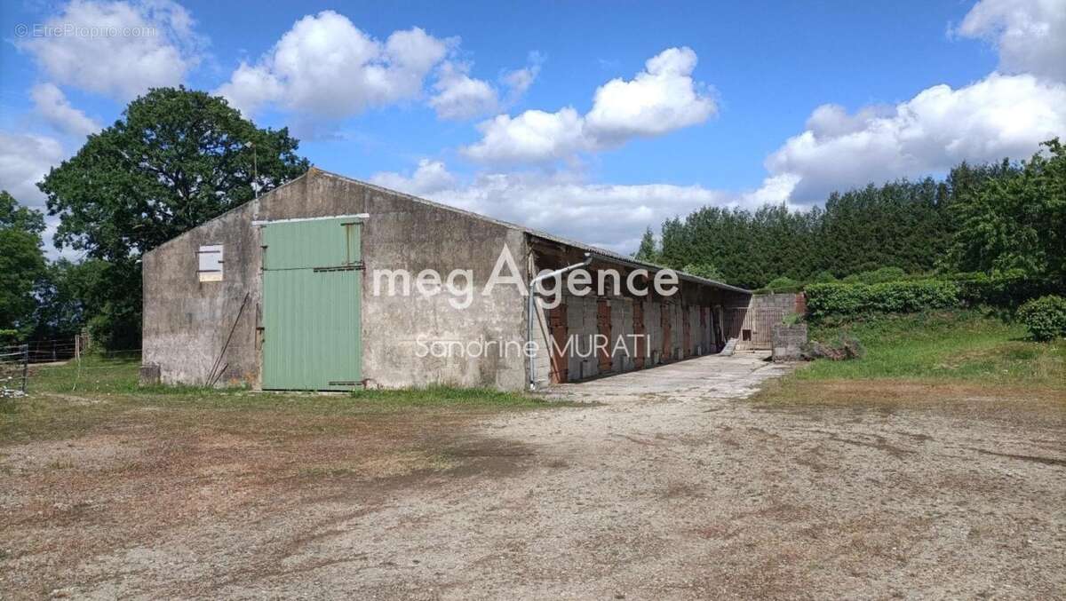 St cyr en pail - maison de maitre ecuries hangar - photo 11