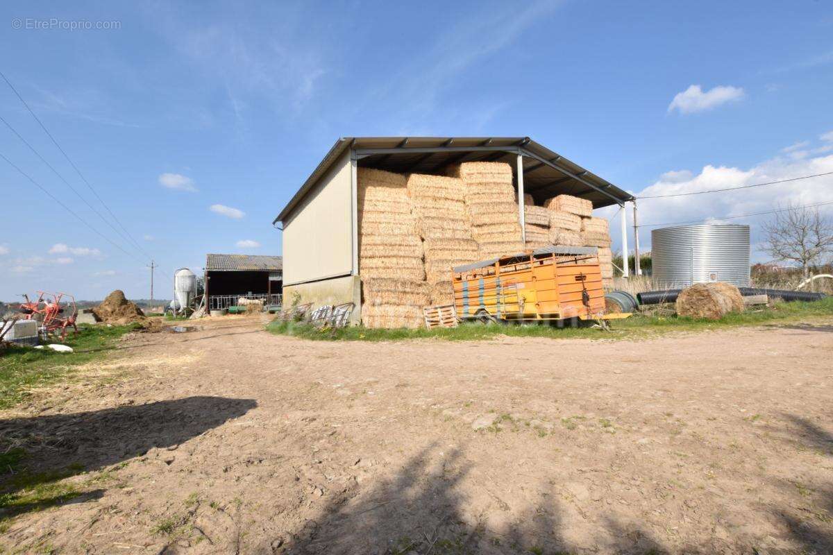 Maison à vendre 5 pièces DOMAIZE (63) - photo 6