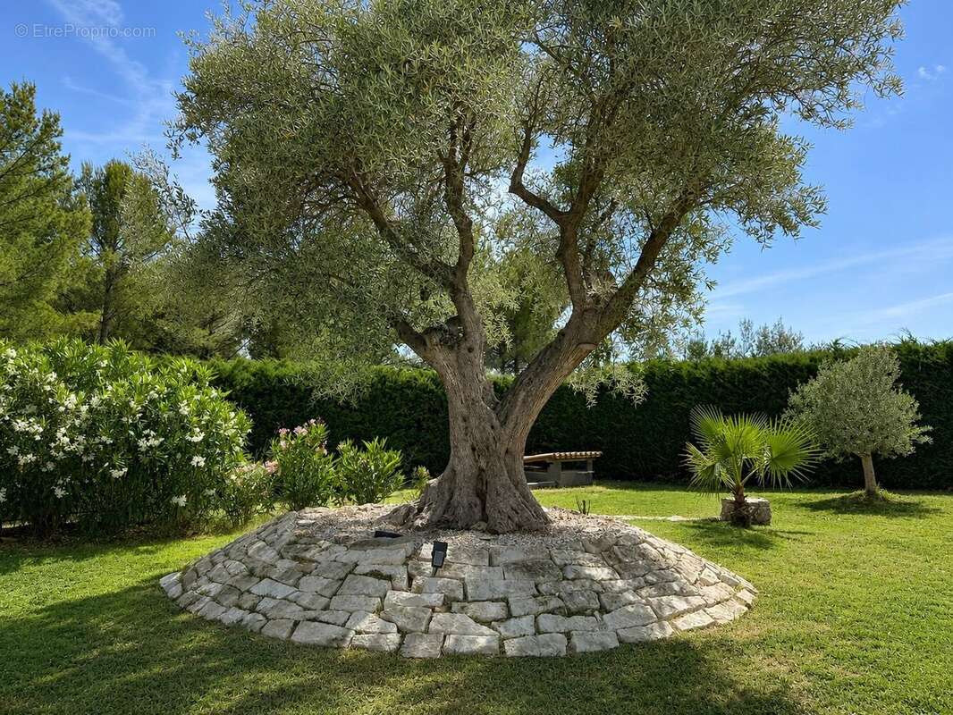 Maison à LA MOTTE