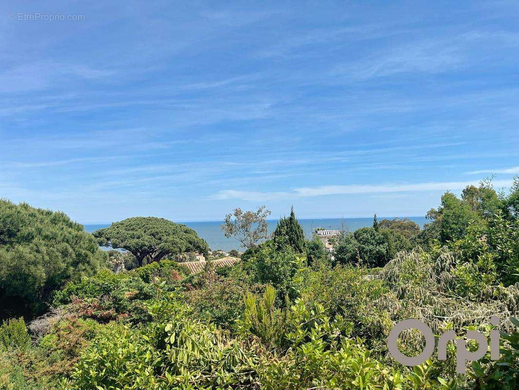 Terrain à ROQUEBRUNE-SUR-ARGENS
