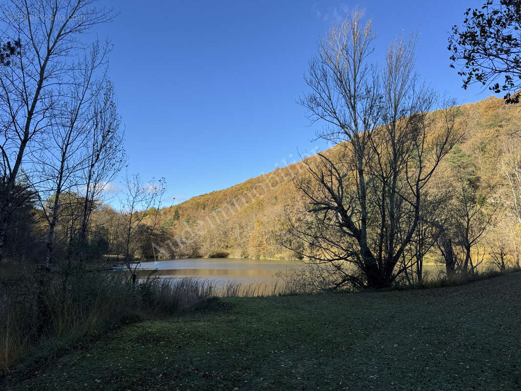 Propriété de 9,34 ha avec deux lacs - photo 16