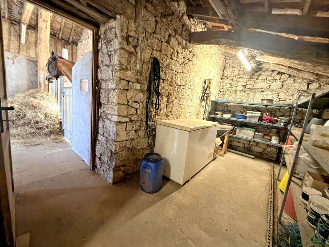 Propriété de caractère en pierres – Domaine équestre sur près de 6 hectares - photo 33