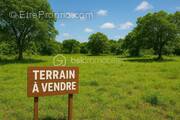 Terrain à SAINTE-MARIE