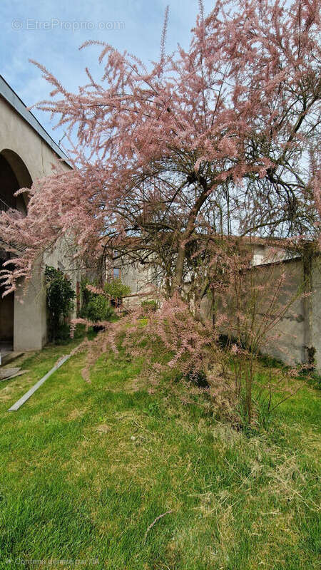 Maison à XIROCOURT