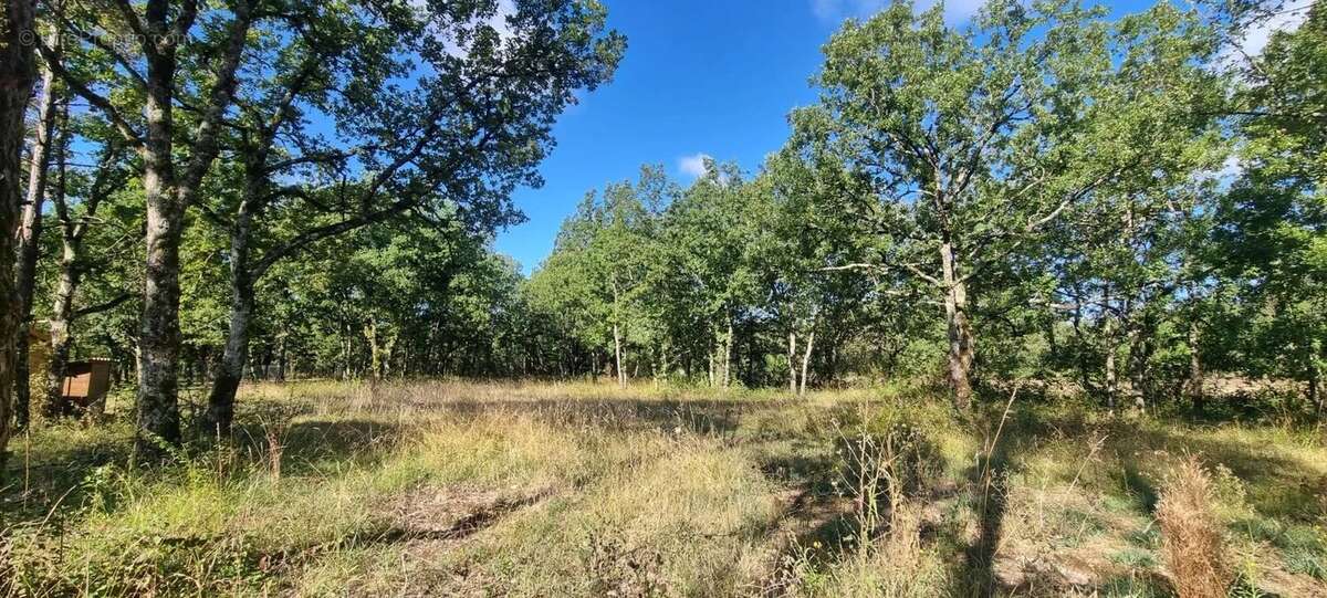 Terrain à SAINT-PAUL-DE-LOUBRESSAC