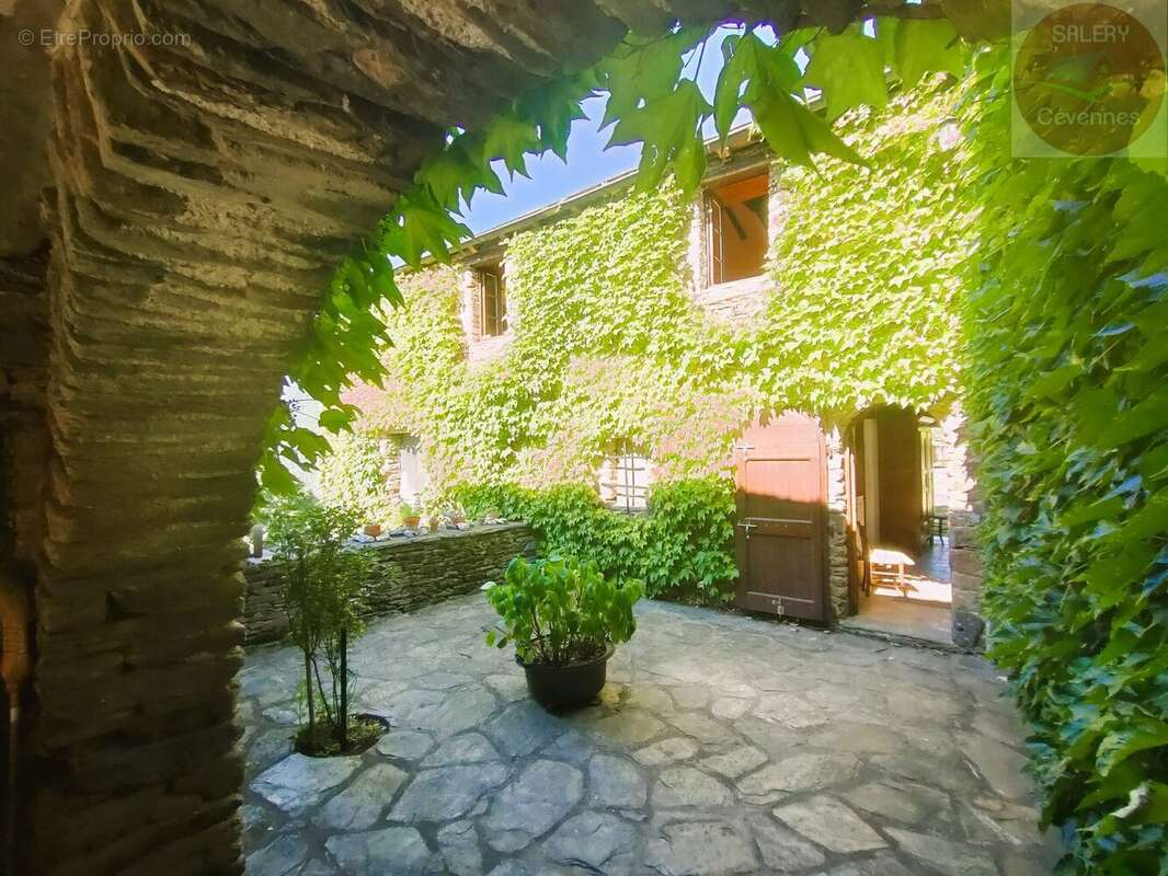 Mas cévenol - photo 2