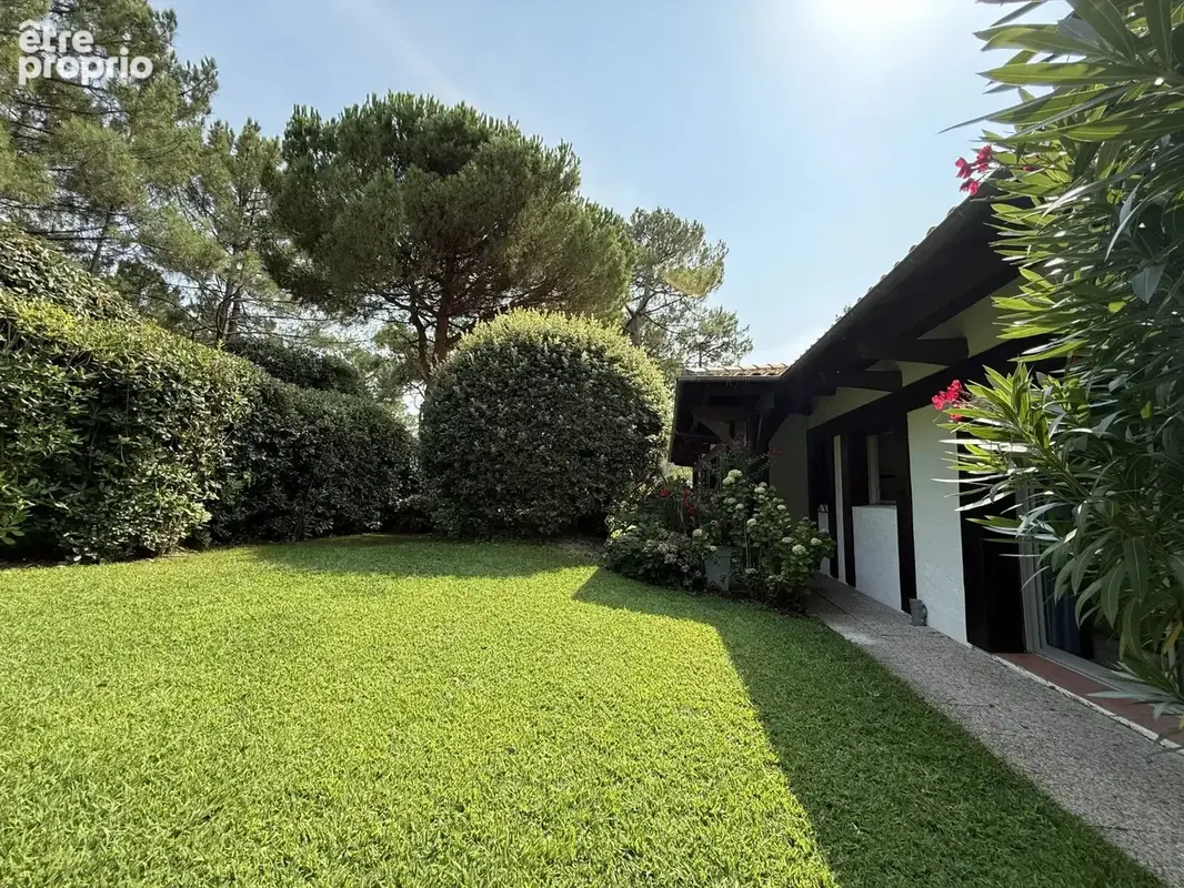 Pyla-sur-mer – l’ermitage – vue dominante sur le bassin - photo 3
