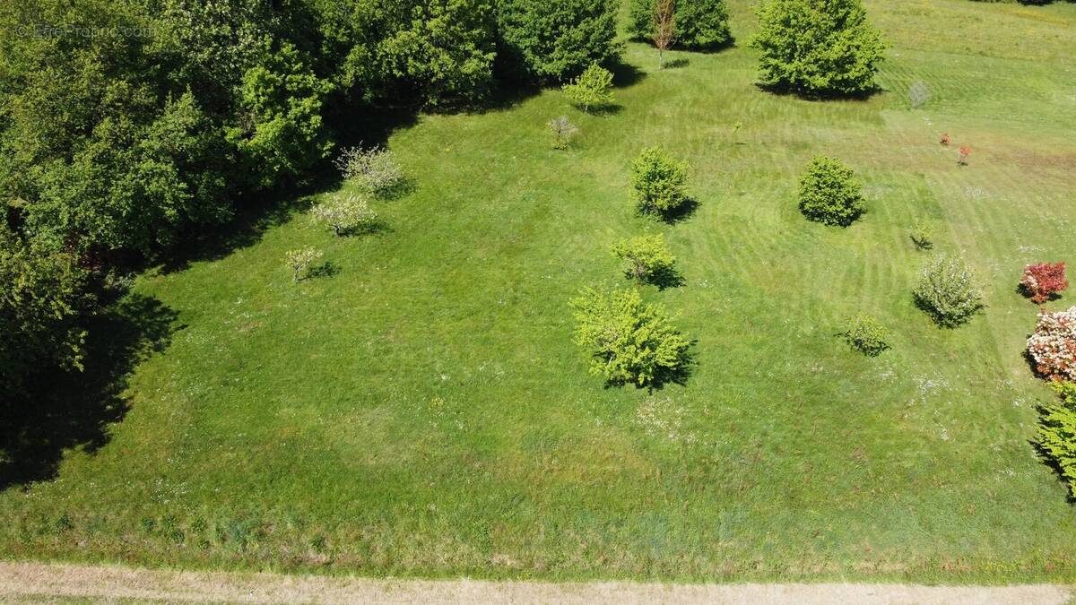 Terrain à SAINT-AVIT