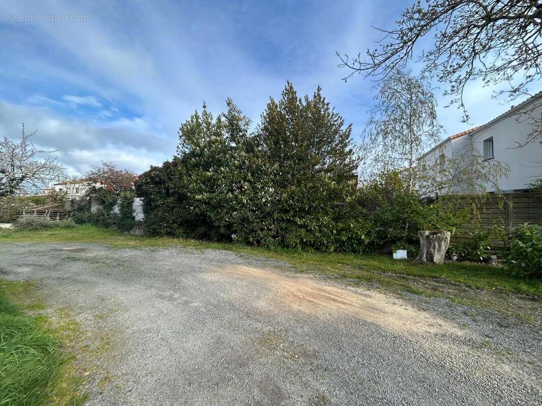 Photo 3 - Terrain à SAINT-JULIEN-DE-CONCELLES