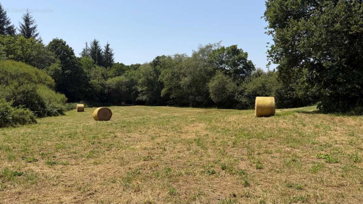 Maison de bourg avec rapport locatif - photo 16