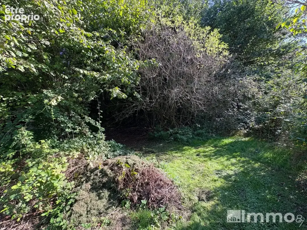 Terrain 1 288 m² à vendre à Nantiat (87140) - photo 2