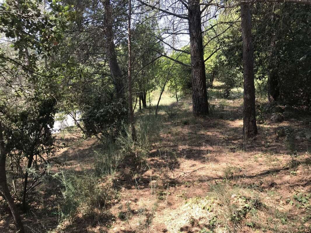 Terrain à GRASSE