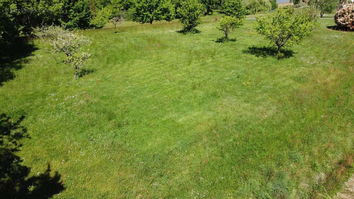 Terrain à SAINT-AVIT