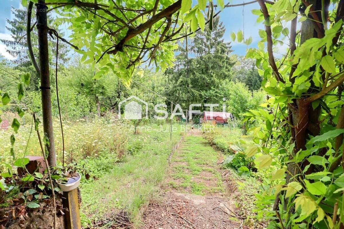 Photo 6 - Maison à FOLKLING