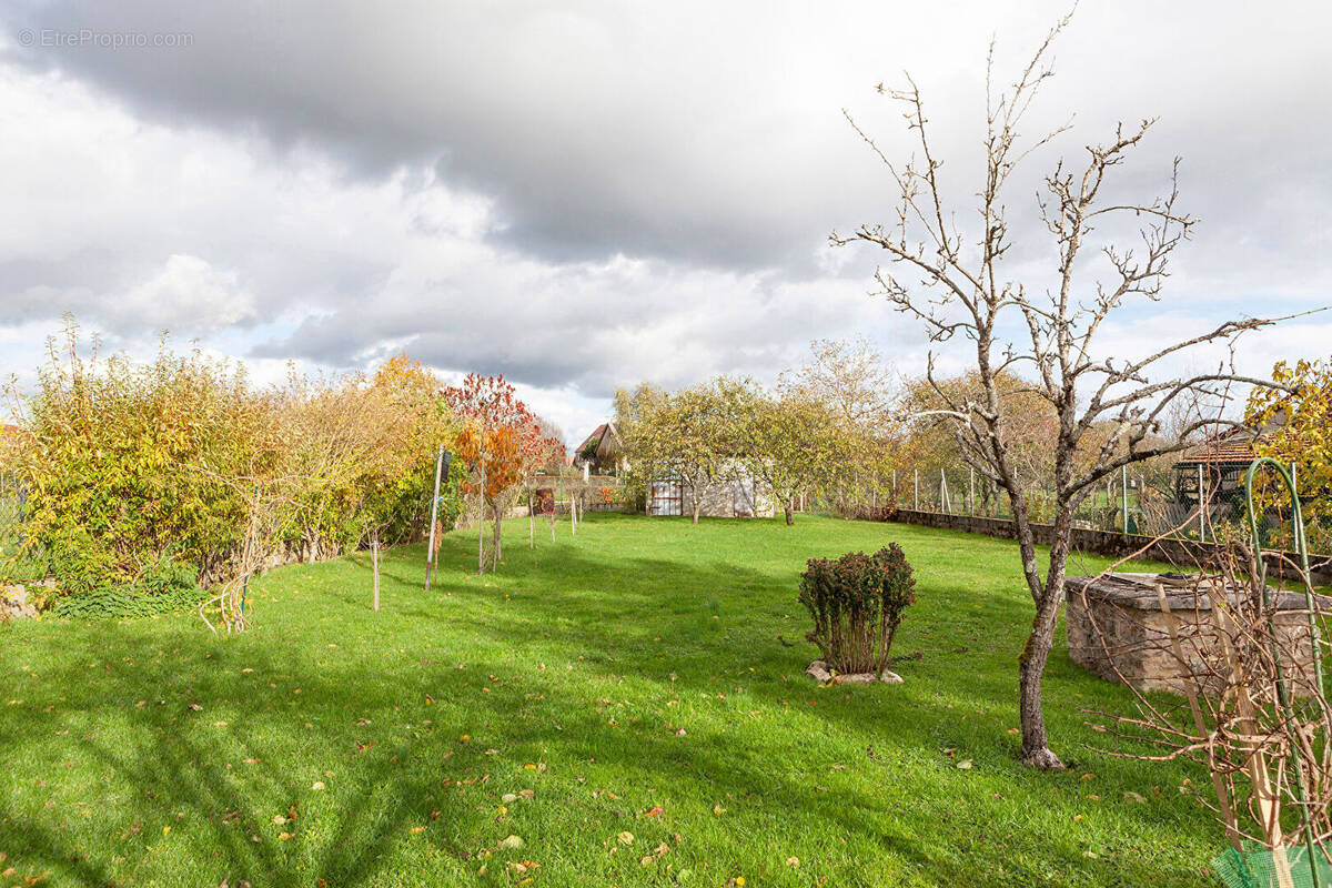 Terrain à COLLONGES-LES-PREMIERES