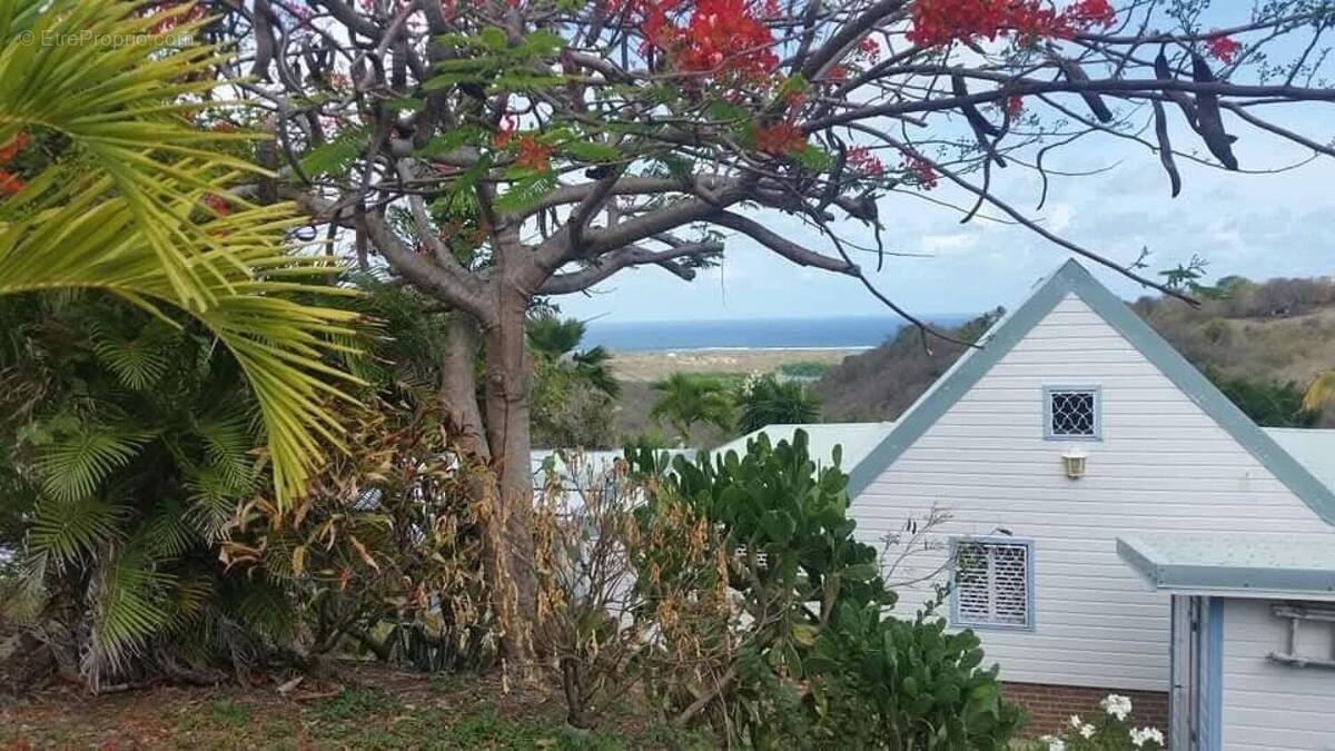 Photo 1 - Maison à LE MARIN