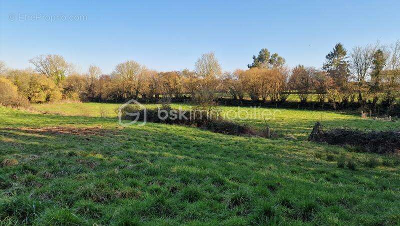 Maison à LA MEAUFFE