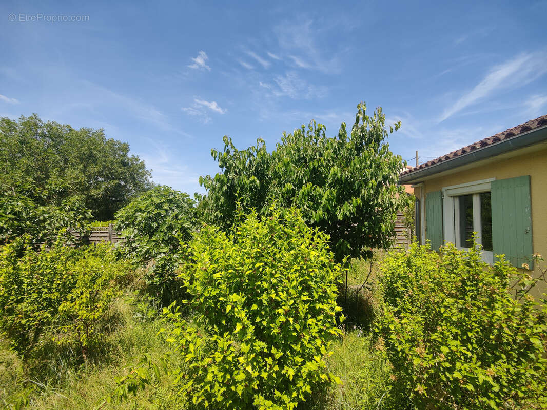 Belvèze-du-razès   villa de plain-pied 4 faces avec véranda, garage et jardin de 648 m2 - photo 23