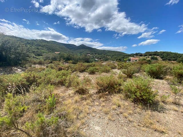 Terrain à CAIXAS