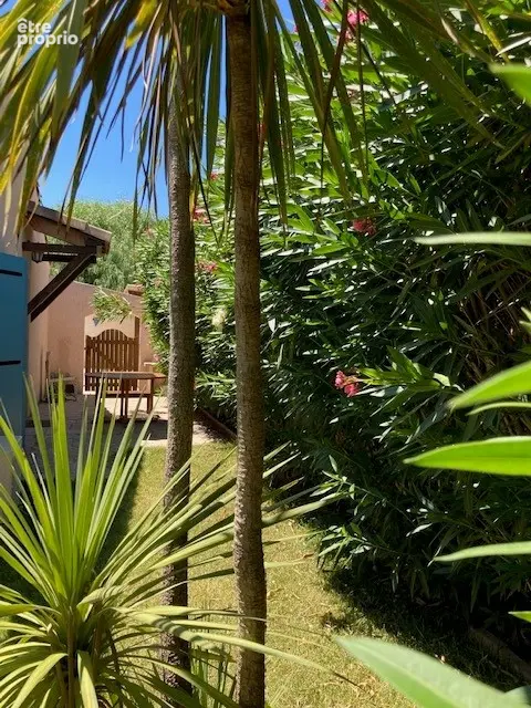 Canet maison T3 de plain pied avec piscine - photo 16