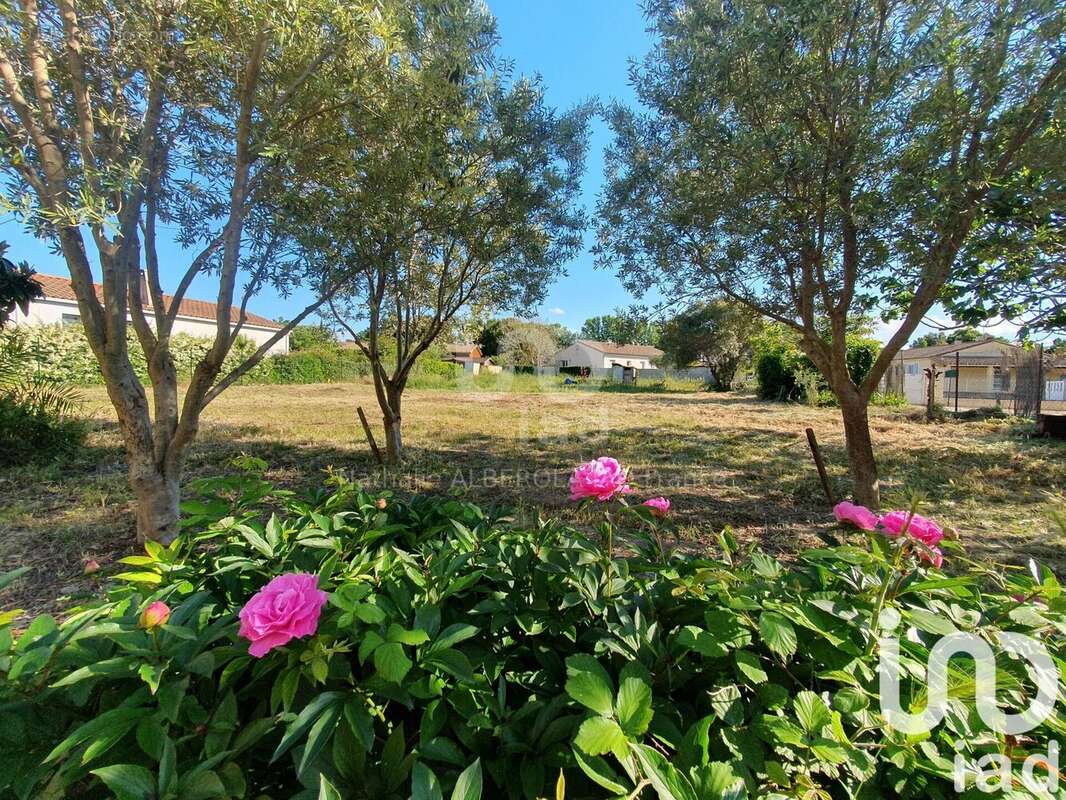 Photo 4 - Terrain à CANET