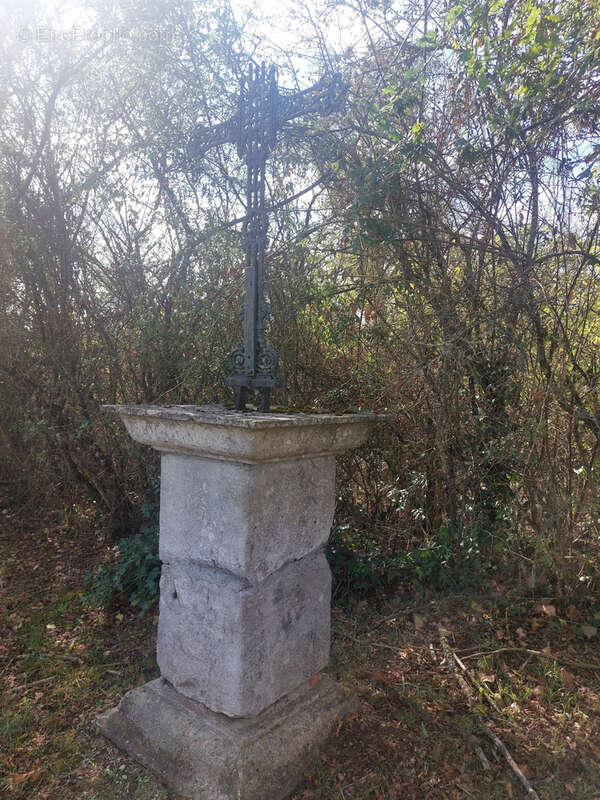 Autre à SAINT-DIDIER-LA-FORET