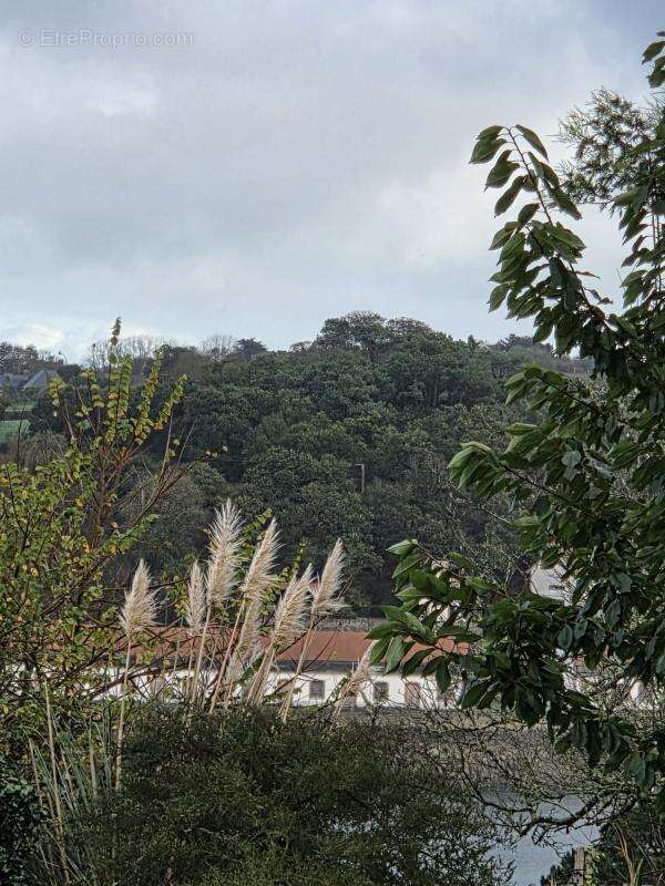 Terrain à LEZARDRIEUX