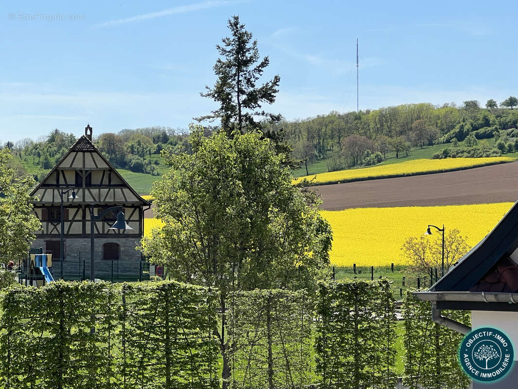 Maison à WILLGOTTHEIM