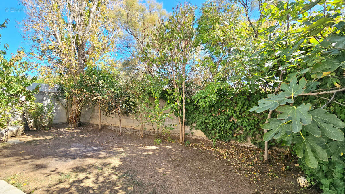 Maison à FRONTIGNAN