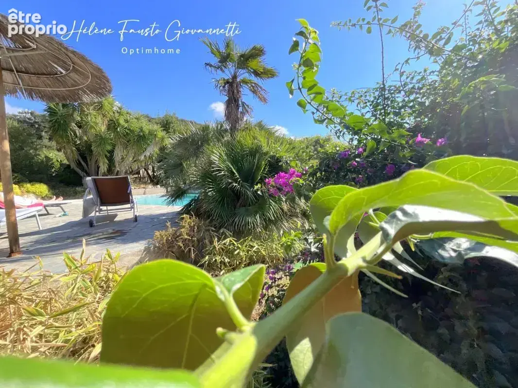 PATRIMONIO – Propriété de charme avec 5 logements, piscine et terrain de 1 440 m² - photo 9