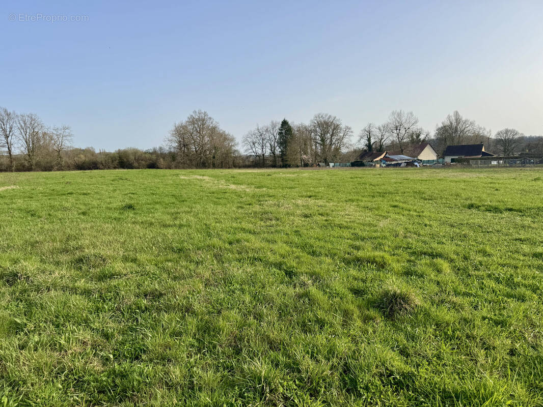 Terrain à SAINT-VIANCE