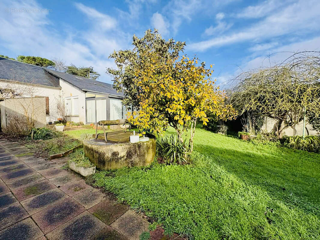 Maison à VIEILLEVIGNE