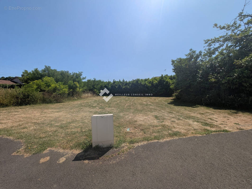 Terrain à CHASSENEUIL-DU-POITOU