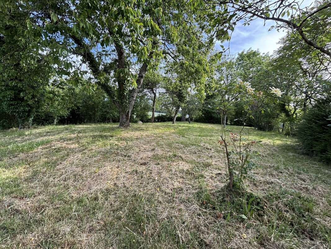 Maison à SAVIGNY-EN-SANCERRE