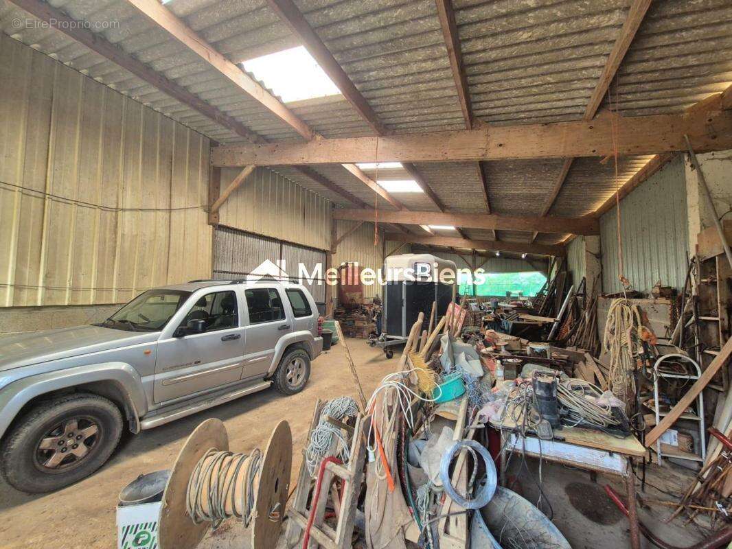 Commerce à JANZE