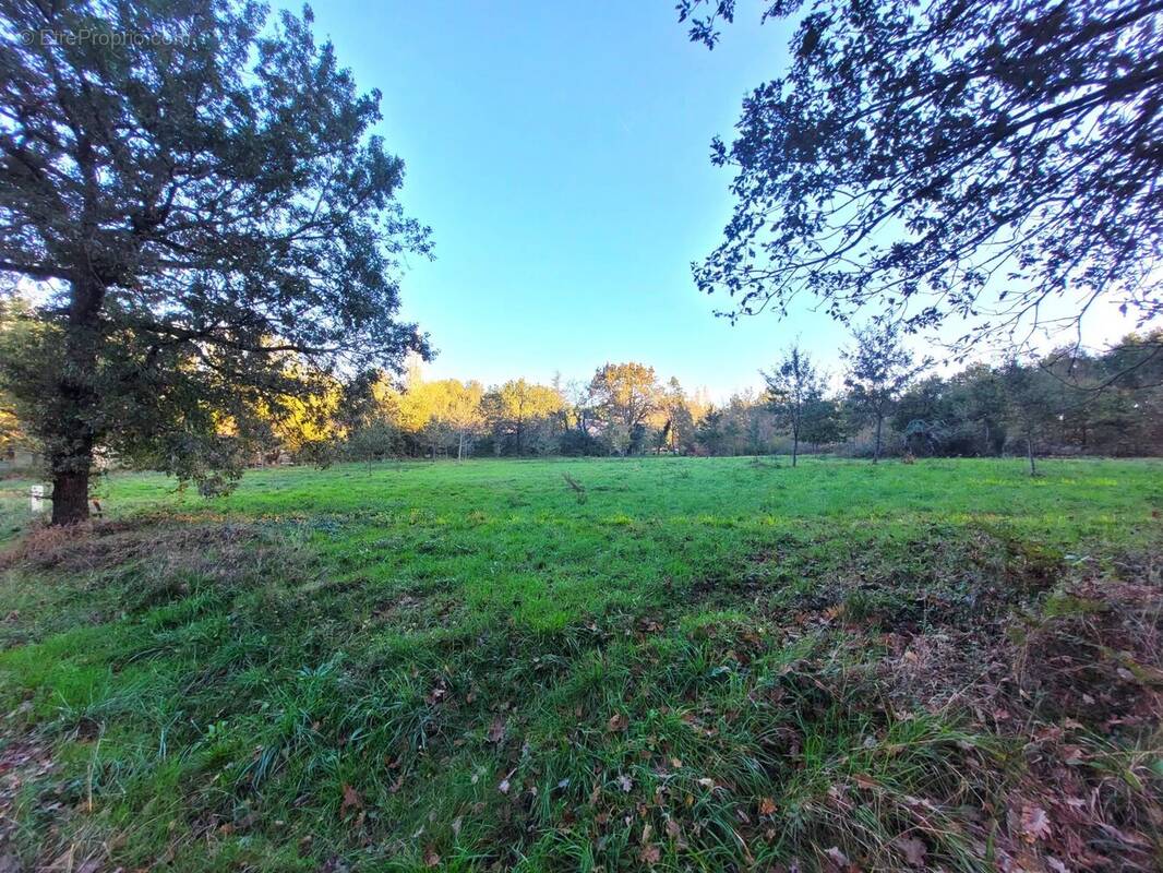 Terrain à DAMIATTE