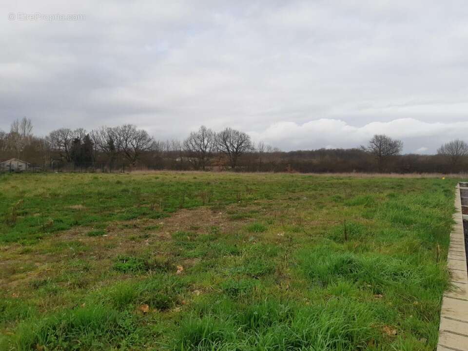 Terrain à GRATENTOUR