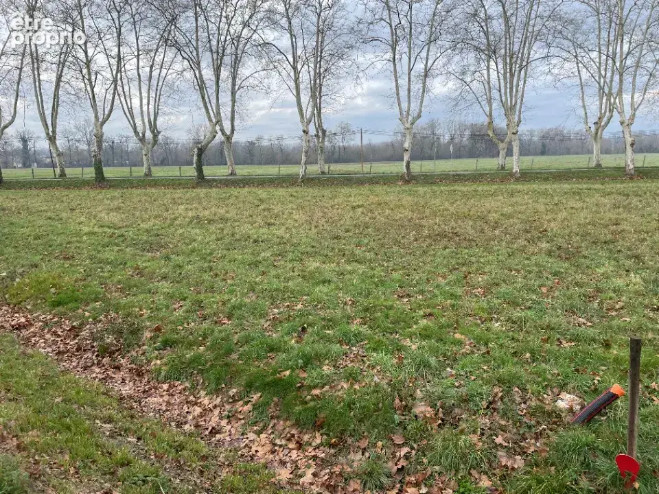 Terrain à SOUAL