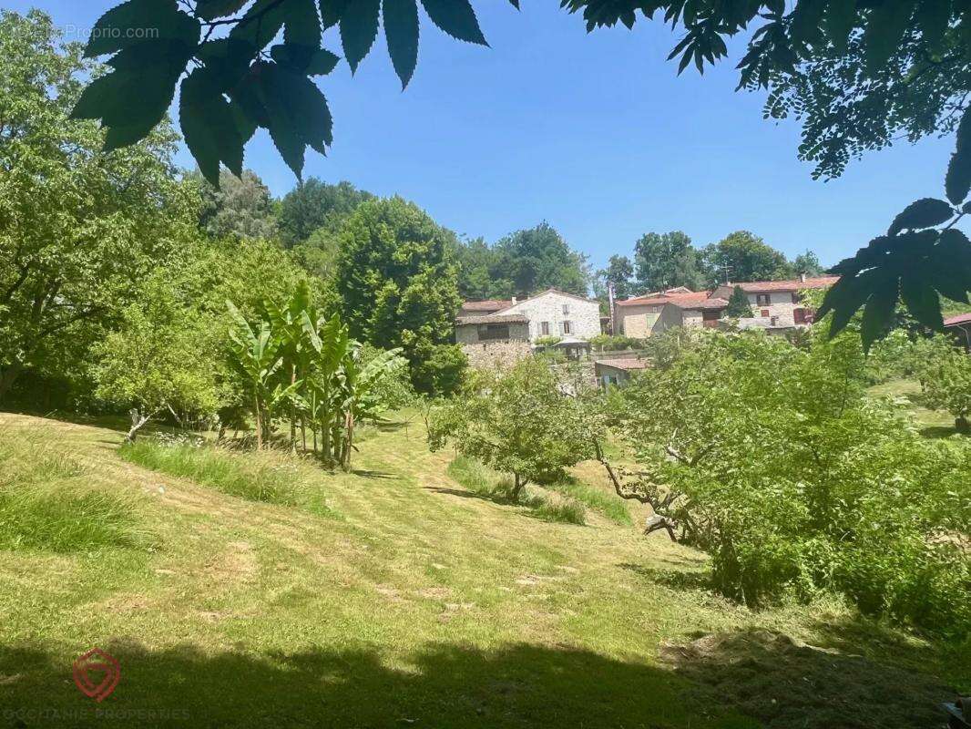 Maison à SAINT-PIERRE-DE-RIVIERE