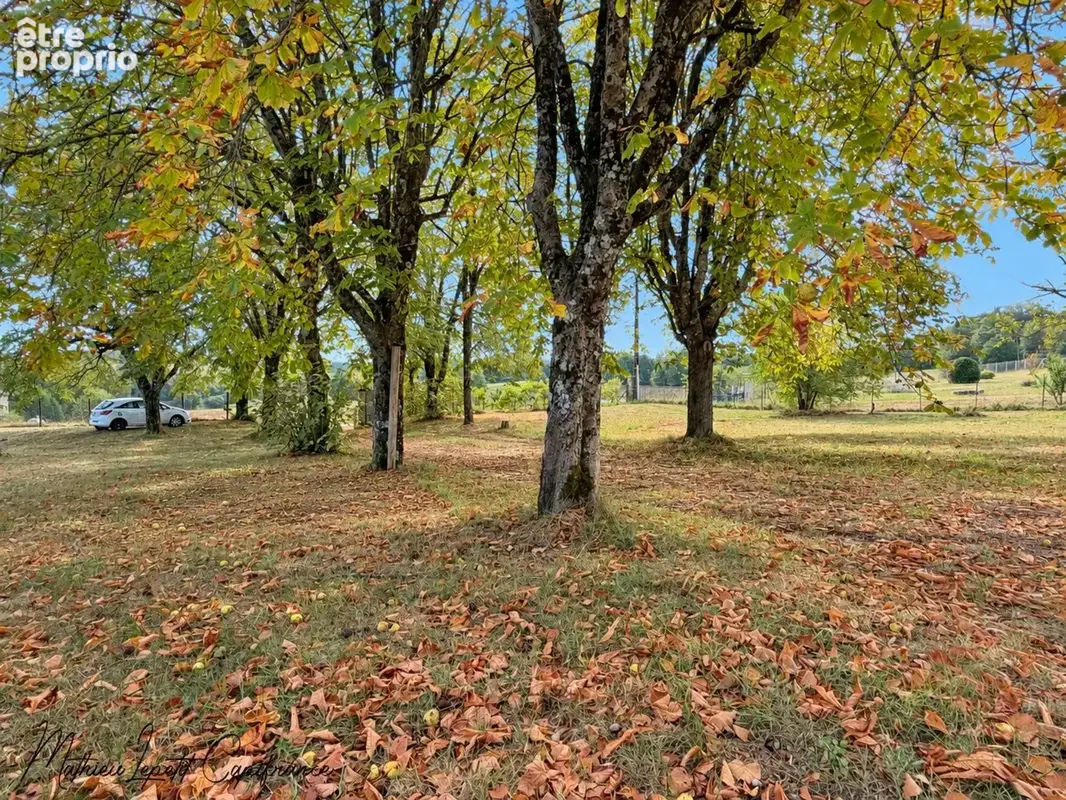 à vendre LIMEYRAT – Maison T4 sur terrain clos et arboré de 3 250 m²/kota finlandais en bois - photo 14