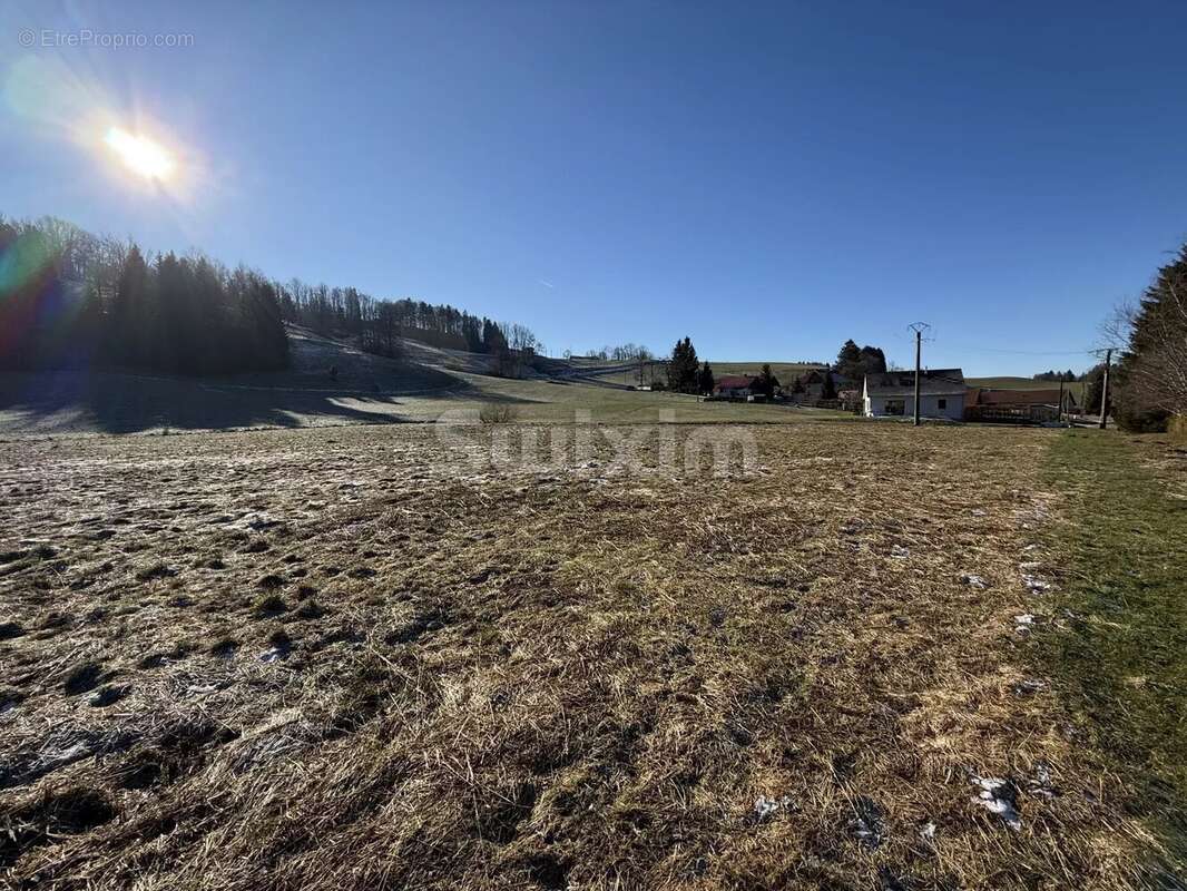 Terrain à FONCINE-LE-HAUT