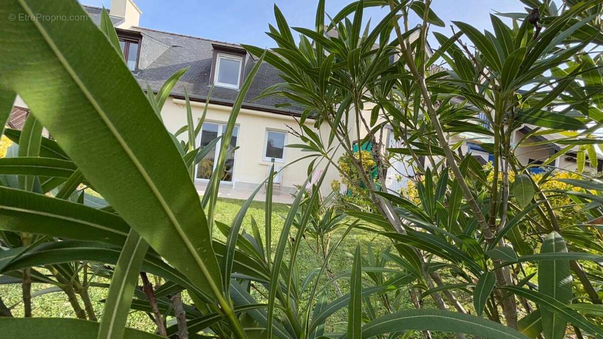 Maison à SAINT-GILDAS-DE-RHUYS